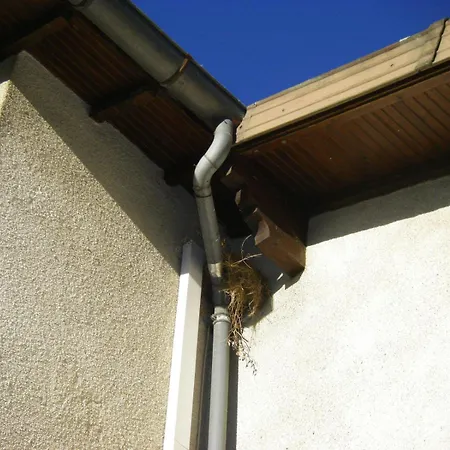 Le Nid De L'ecureuil 3*