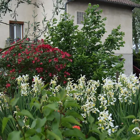 Bed and breakfast Le Nid De L'ecureuil