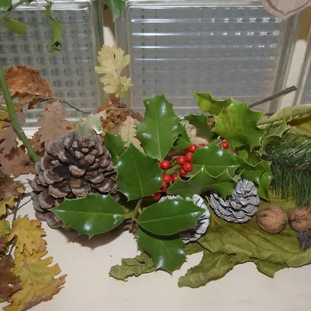 Le Nid De L'ecureuil Bed and breakfast