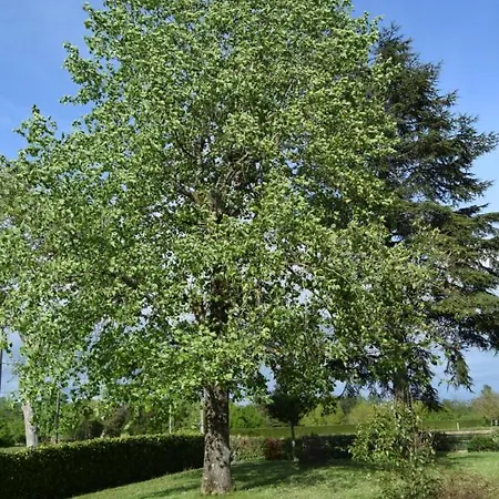 Le Nid De L'ecureuil 3*