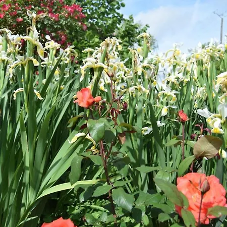 Le Nid De L'ecureuil