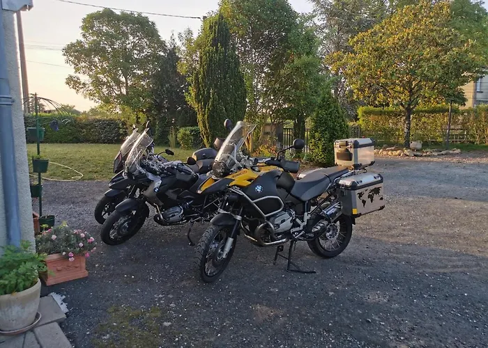 Le Nid De L'ecureuil