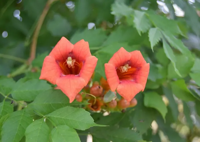 Le Nid De L'ecureuil